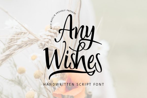 Any Wishes Font: A Designer’s Review