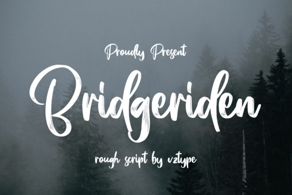 Bridgeriden: A Modern Script Font for Web Design