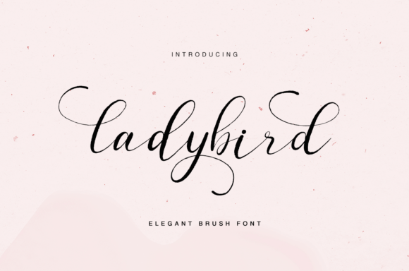 Ladybird Font: Elegant Script for Crafters