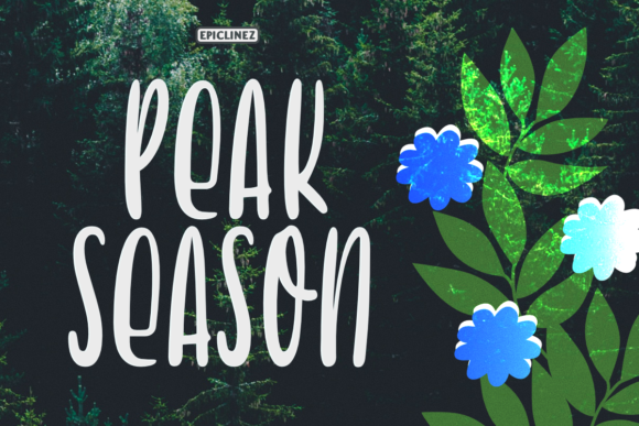Peak Season Font: A Web Designer’s Review