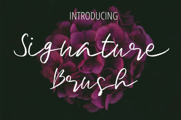 Signature Brush: A Fluid Typeface for Modern Campaigns